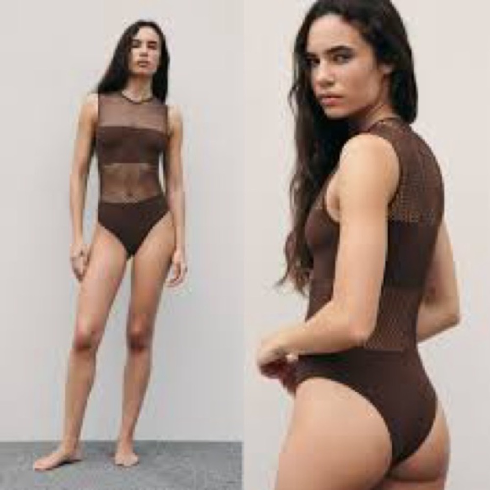 Zara Chocolate Mesh Bodysuit